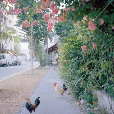 外围皇冠体育下载截图